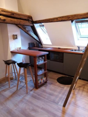 Studio cosy dans maison alsacienne